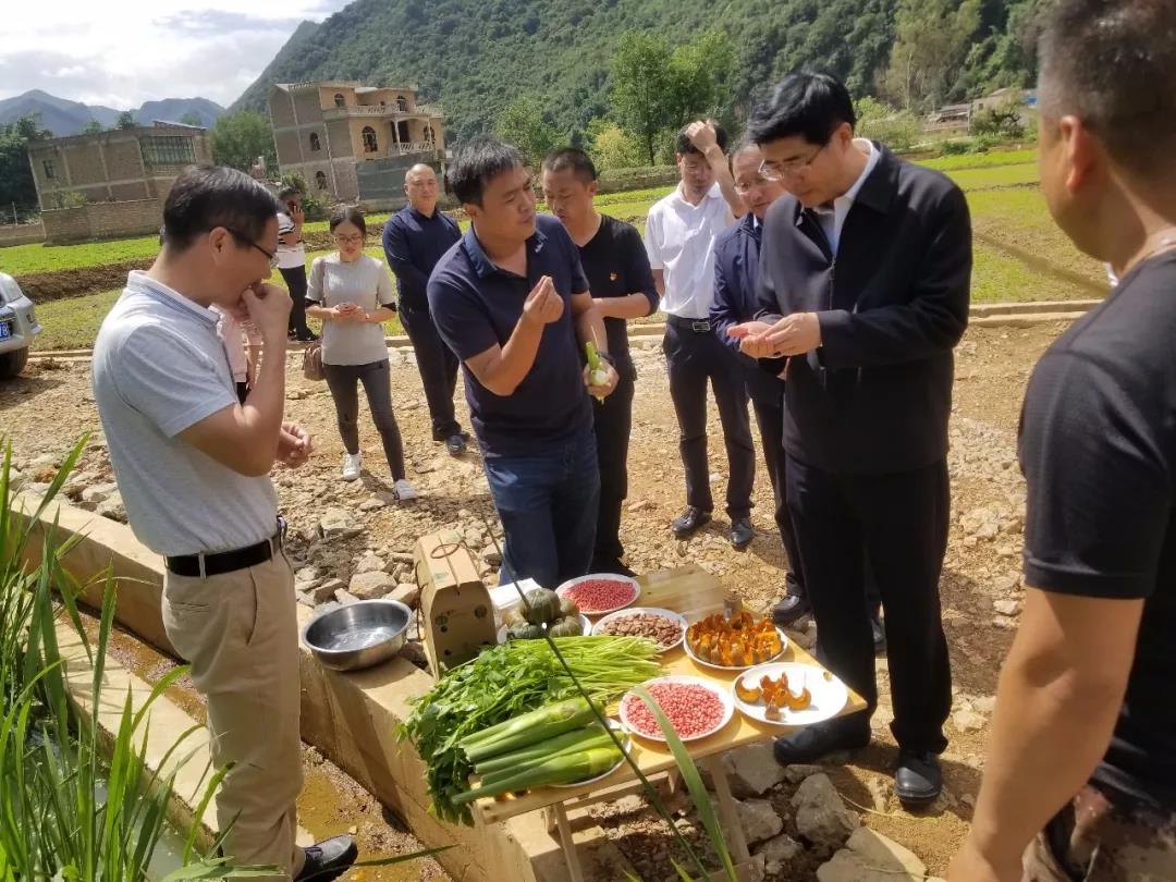 xc sports(中国区)-官方网站