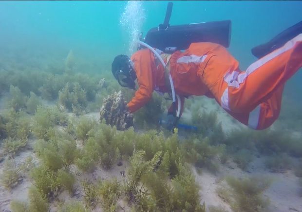 xc sports(中国区)-官方网站