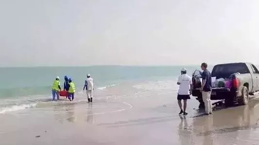 xc sports(中国区)-官方网站