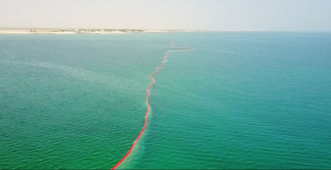 xc sports(中国区)-官方网站