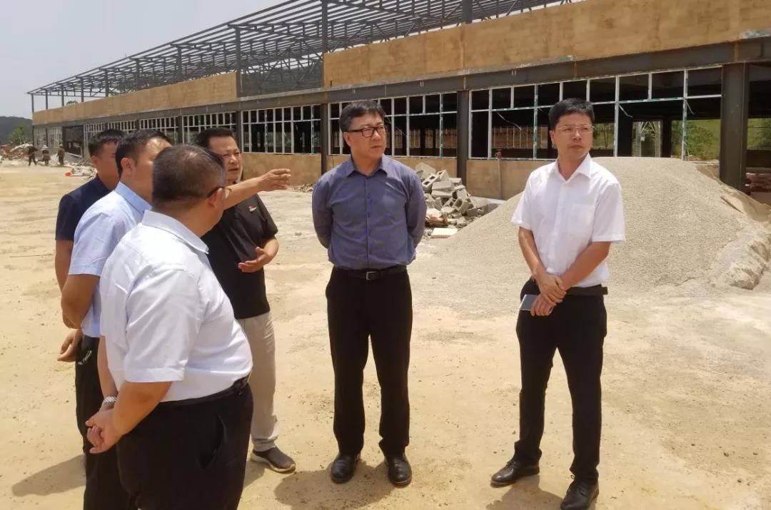 xc sports(中国区)-官方网站