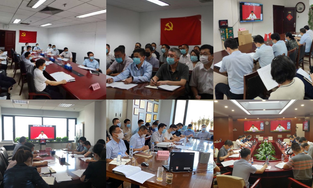 xc sports(中国区)-官方网站