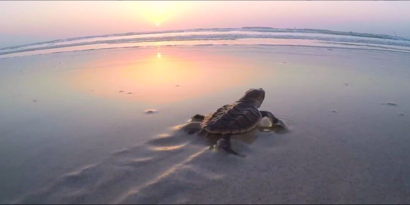 xc sports(中国区)-官方网站