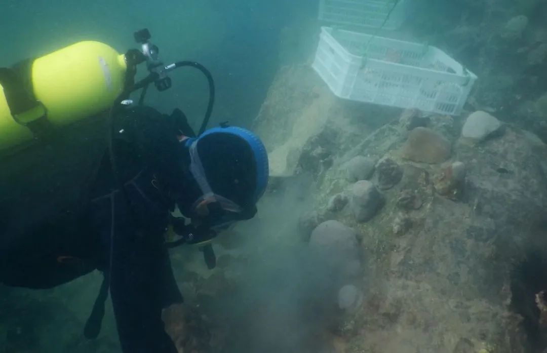 xc sports(中国区)-官方网站