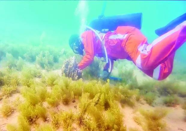 xc sports(中国区)-官方网站