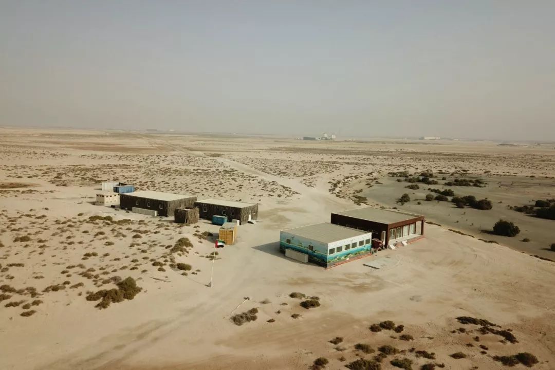 xc sports(中国区)-官方网站