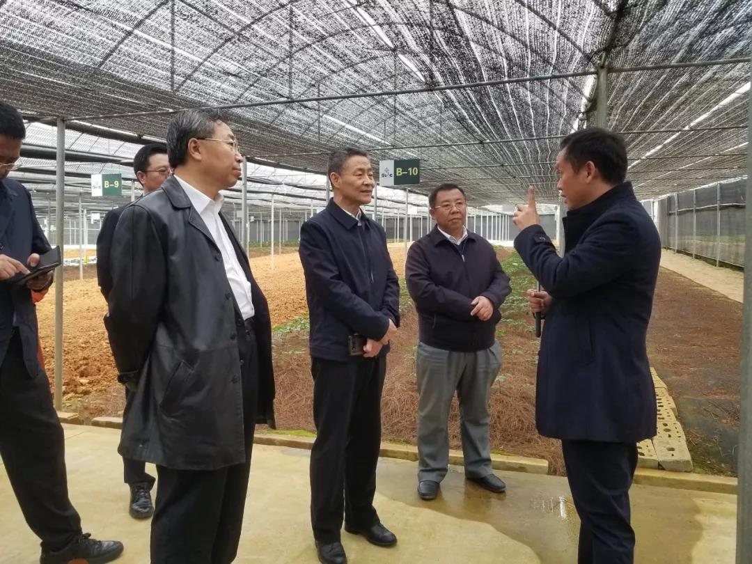 xc sports(中国区)-官方网站