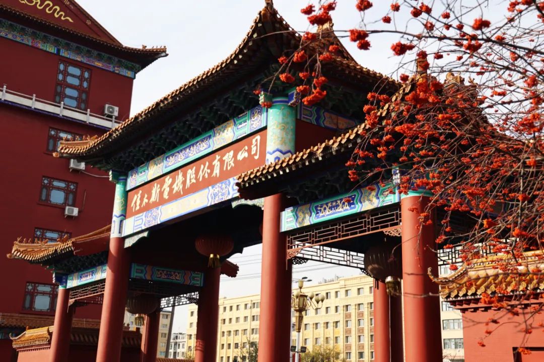 xc sports(中国区)-官方网站