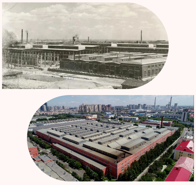 xc sports(中国区)-官方网站