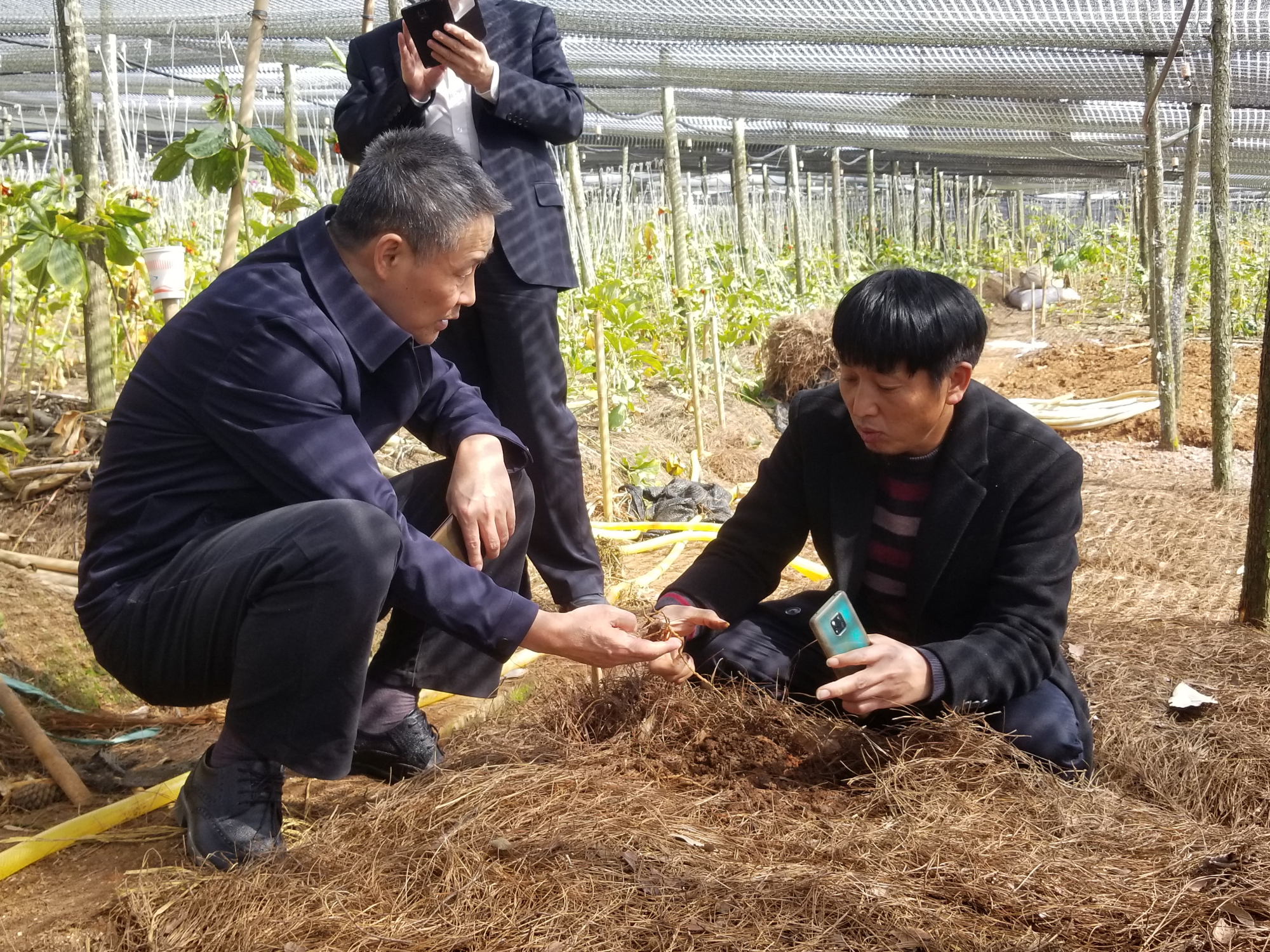 xc sports(中国区)-官方网站