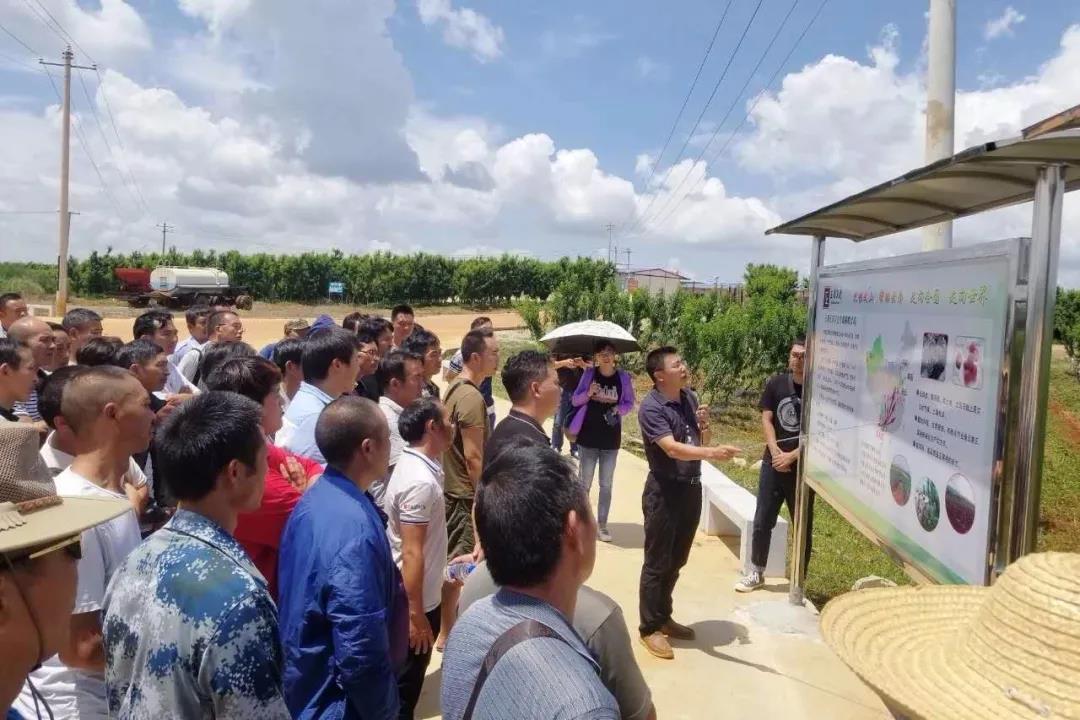 xc sports(中国区)-官方网站