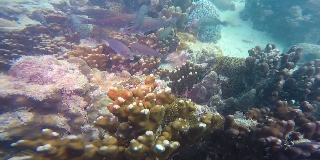 xc sports(中国区)-官方网站