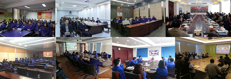 xc sports(中国区)-官方网站
