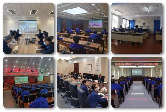 xc sports(中国区)-官方网站