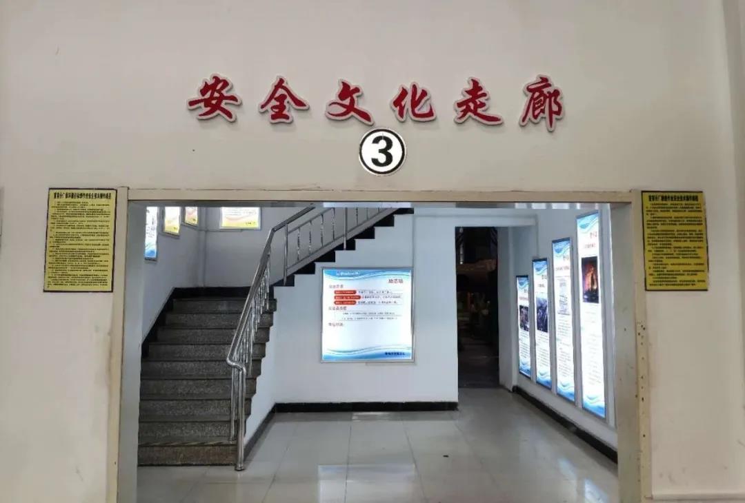 xc sports(中国区)-官方网站