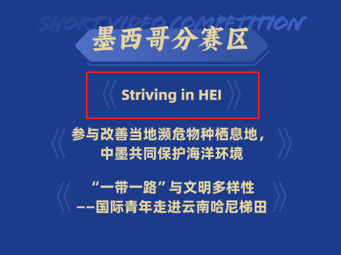 xc sports(中国区)-官方网站