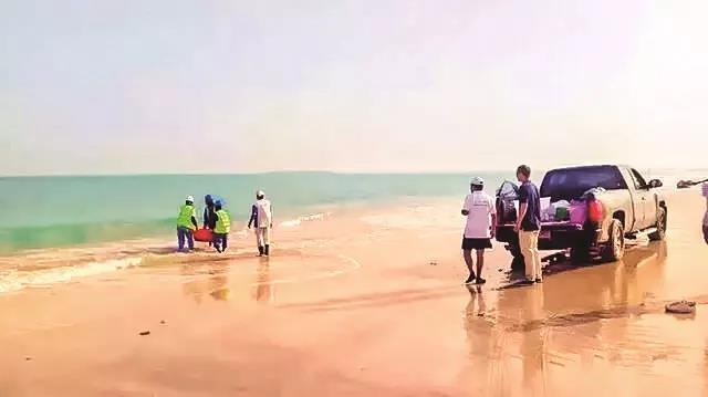 xc sports(中国区)-官方网站