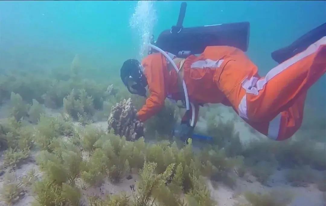 xc sports(中国区)-官方网站